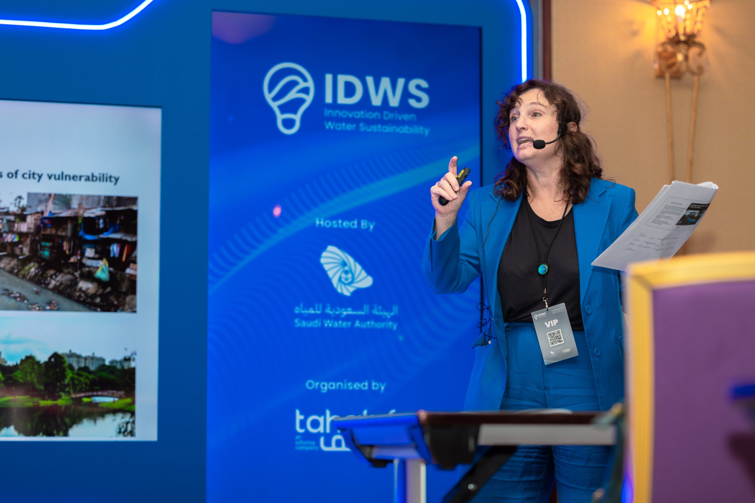 Digital Hydraulic Twin for Water Network Performance